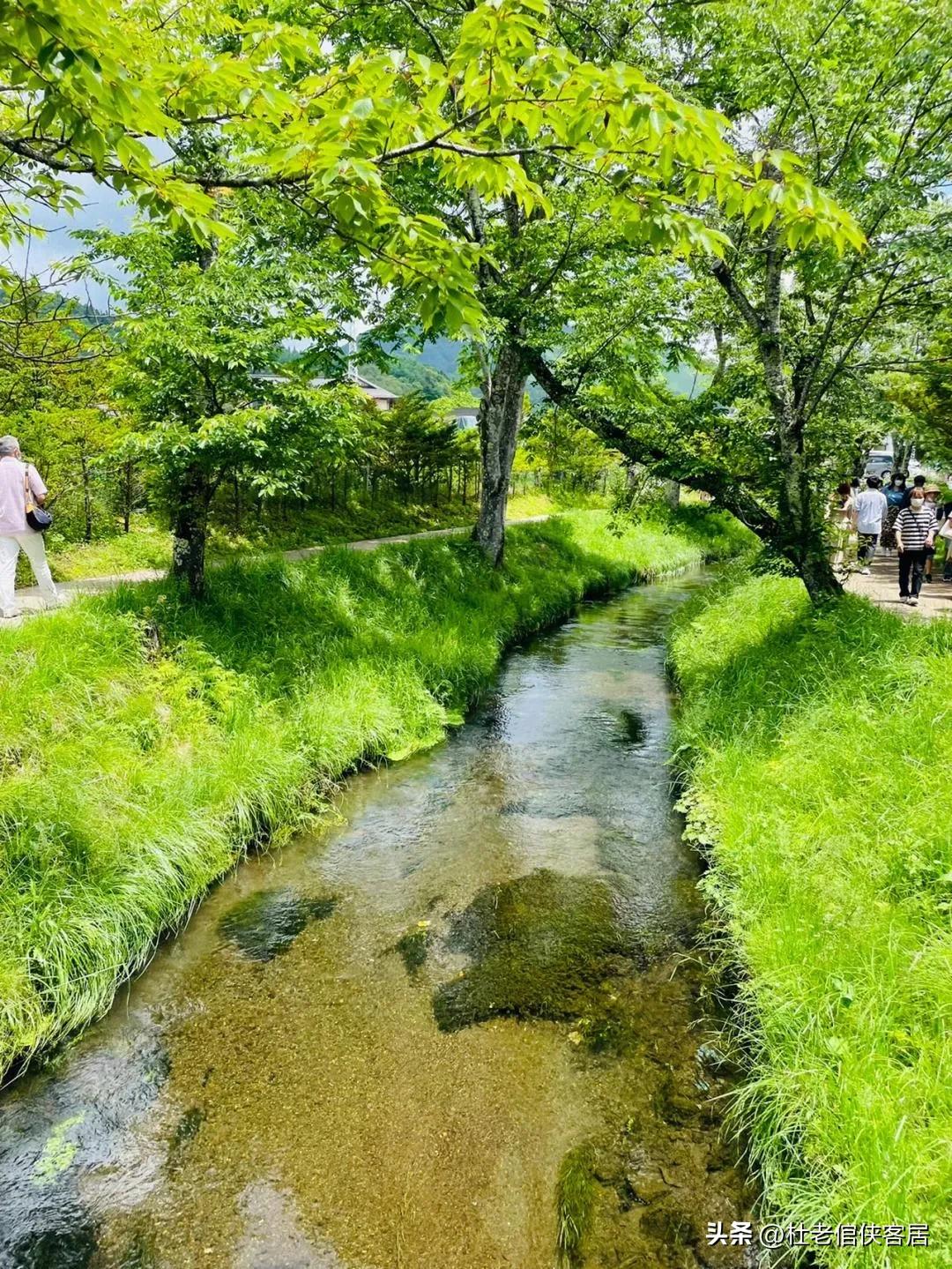 日本忍野八海值得去吗,忍野八海游玩