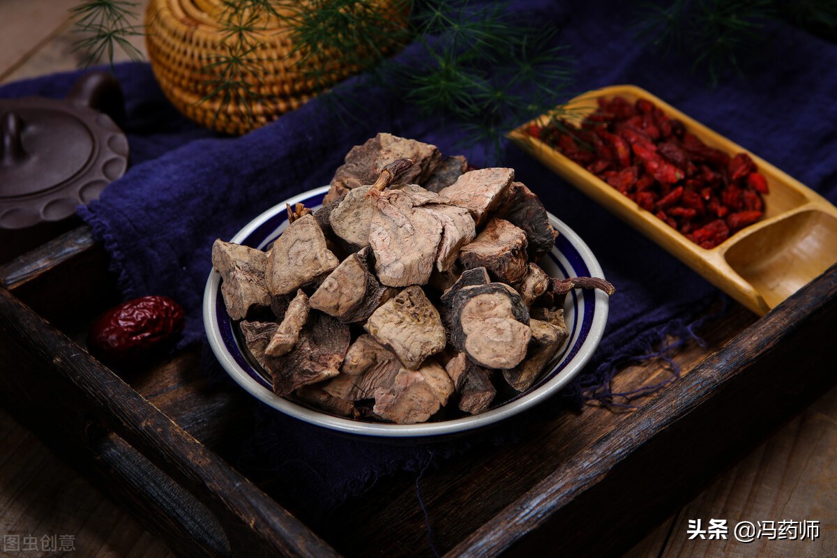 何首乌的抗衰老作用和功效,何首乌功效与作用中药