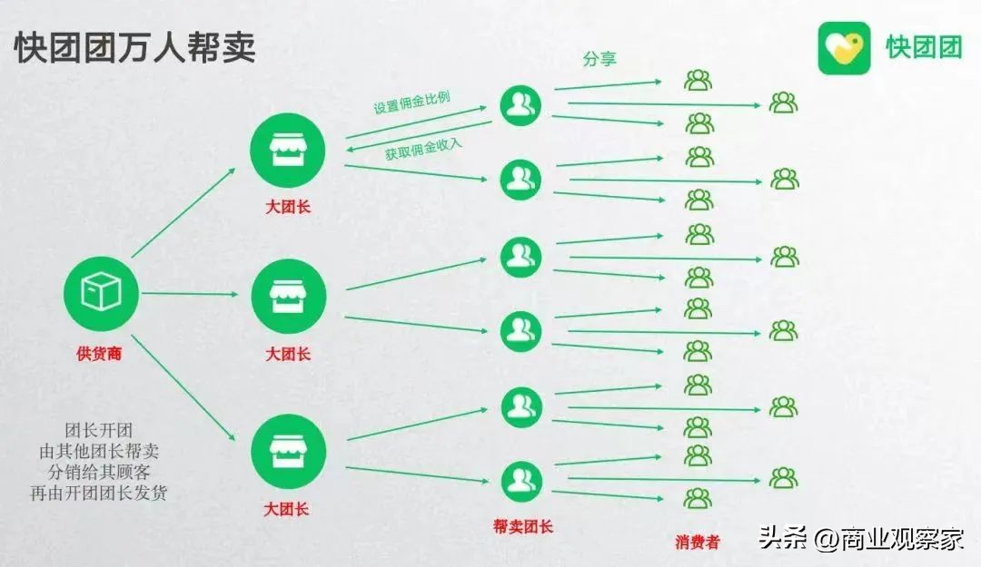 野参生长时间,野菌生长有多快