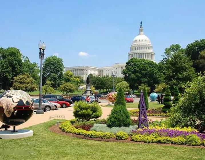 美国女孩艾米丽在中国,美国小女孩艾米丽现在长大了