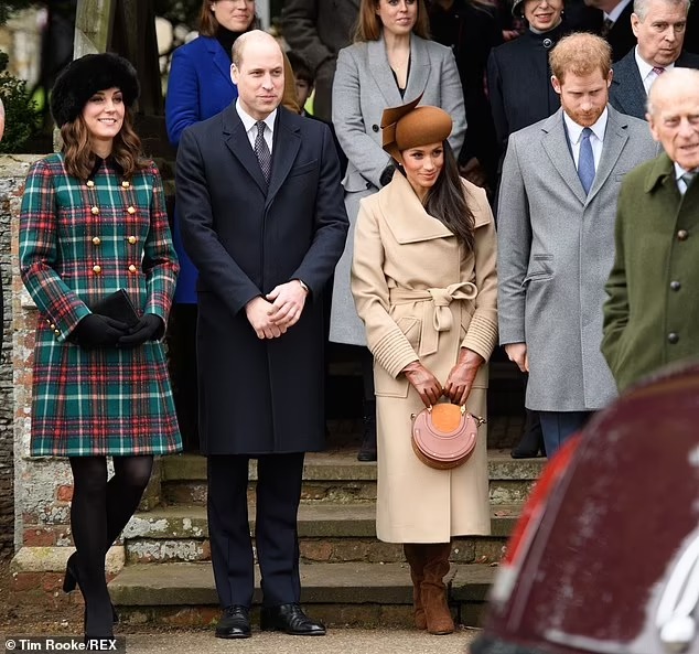 梅根对威廉凯特的评价,威廉对哈里梅根的态度