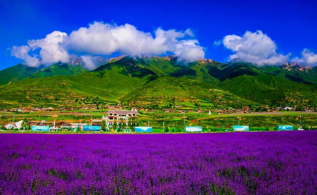 做自己忠实的朋友,自己做自己的好朋友