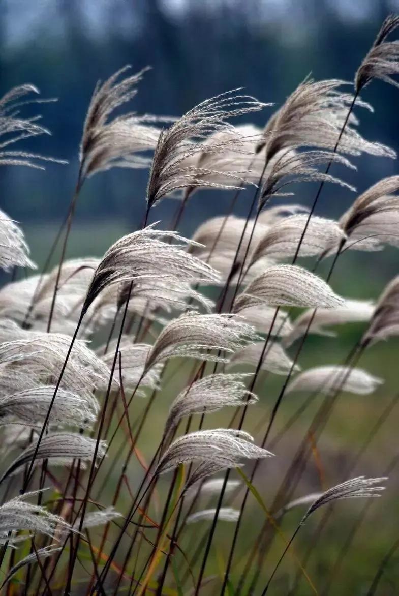 活好每一天的优美散文,致敬最美的散文