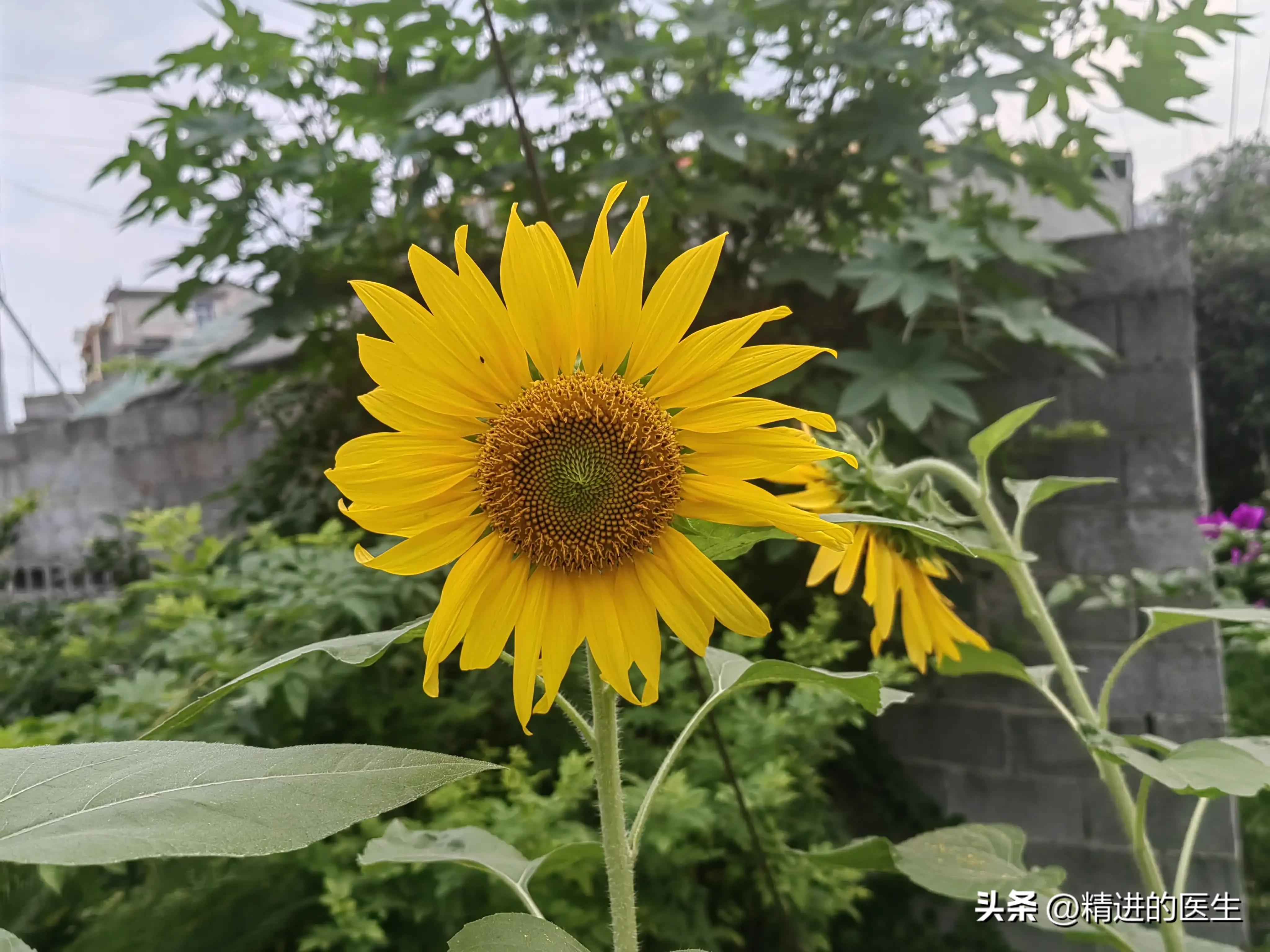 降薪热潮,降薪的影响会有多久