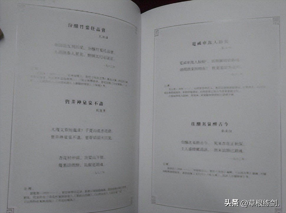 系列文章：（七）杏花苑景区中修建大廻廊（诗碑廊）