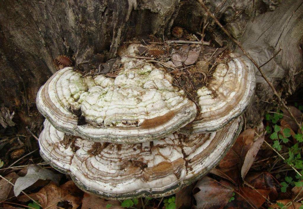 考古挖古墓挖出来自己的先人,考古学家挖古墓发现是自己家祖坟