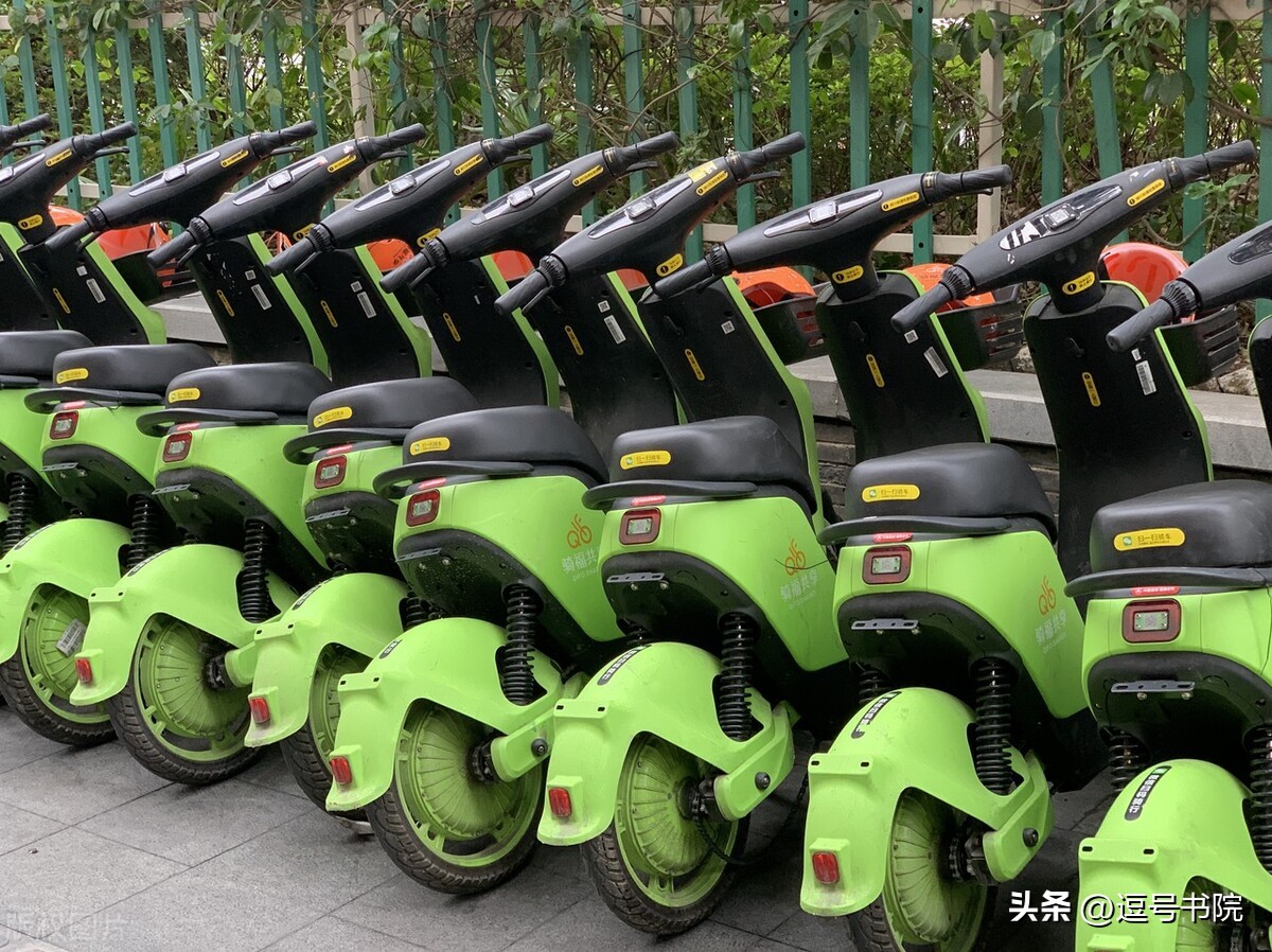 新闻简报第28号,新闻报道三七