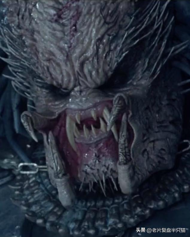 铁血战士铁血异形有多强,铁血战士铁血异形顺序