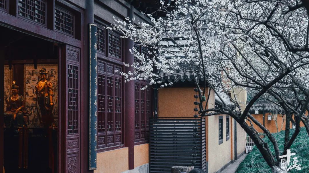 寺庙门槛不能踩的真正意思,坐寺院门槛有什么忌讳吗