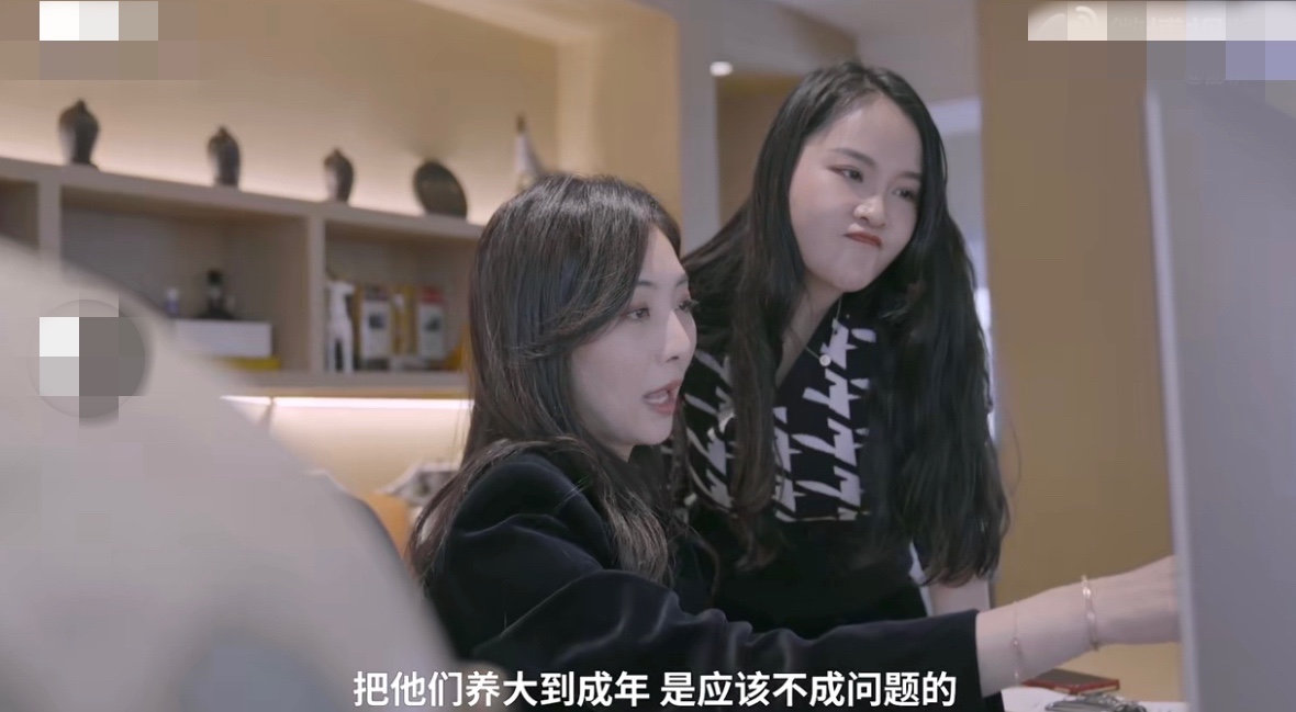 网红试管婴儿生三胞胎视频,试管生娃网红博主三胞胎