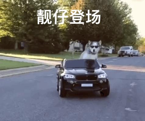 外媒评十大最帅面孔,2024年全球公认最帅面孔