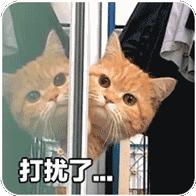 瑞思迈s10单水平和双水平区别,瑞思迈s10双水平价格