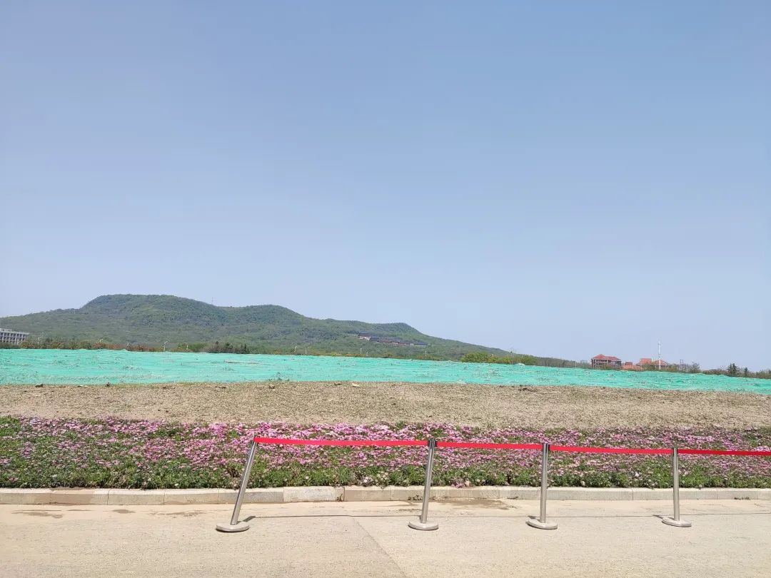 龙湖116洋房四叶草户型,南京龙湖四叶草户型