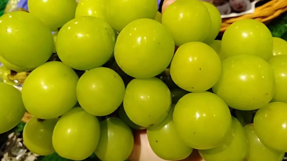 开水果店如何打理水果,开水果店建议之如何做好水果生意