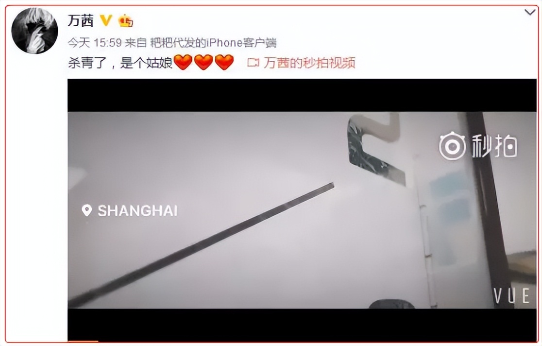 小章子怡个人资料简介,小章子怡现在的情况