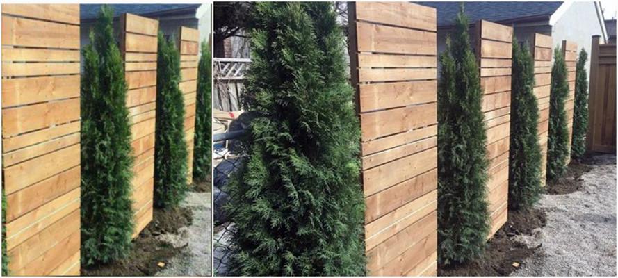 小院不铺砖设计,用红砖设计小院