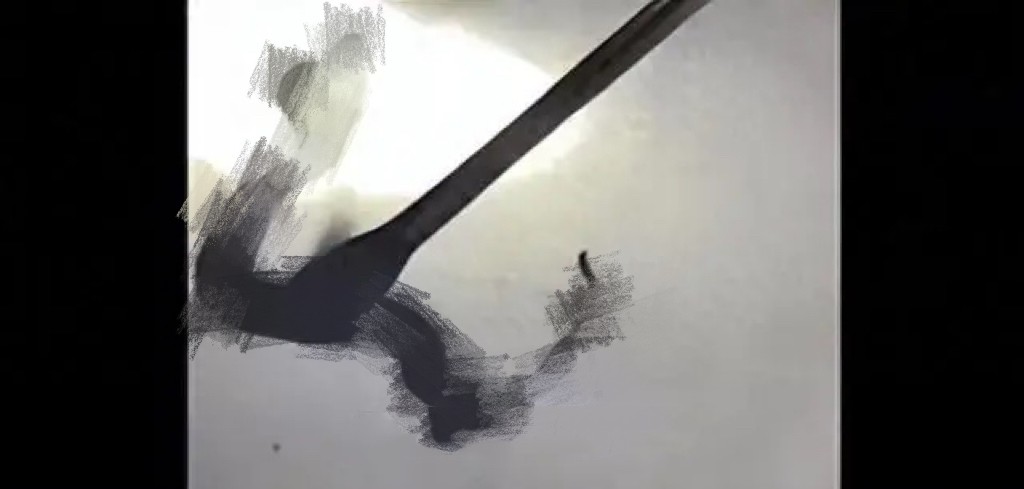 私自养野生蛇,农户私放1000条眼镜蛇