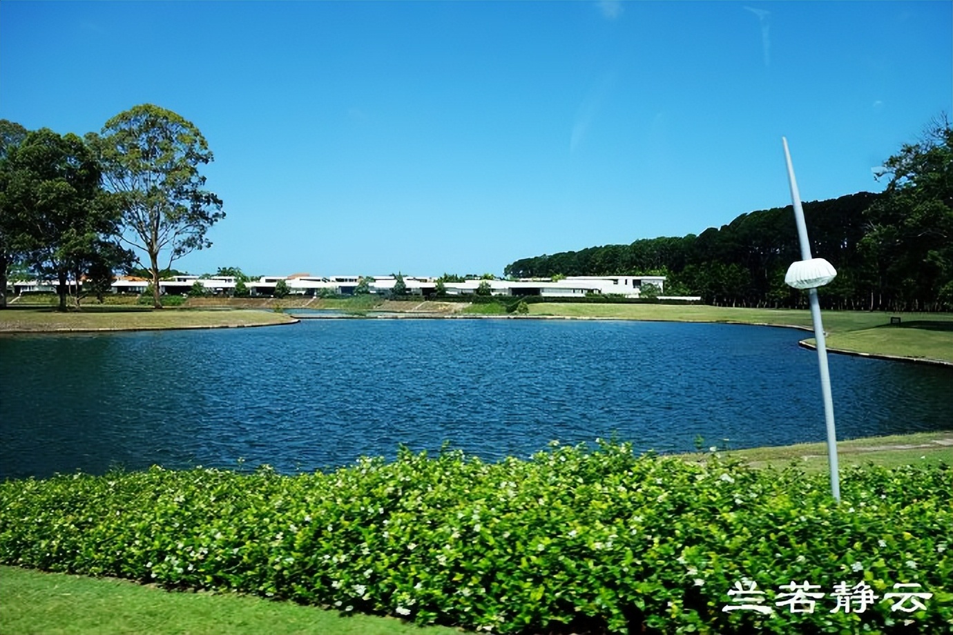 在“神仙湾”看澳洲人炫豪车，简直像车展
