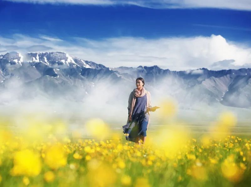 那拉提空中草原雪景照片,大草原的壮丽雪景图