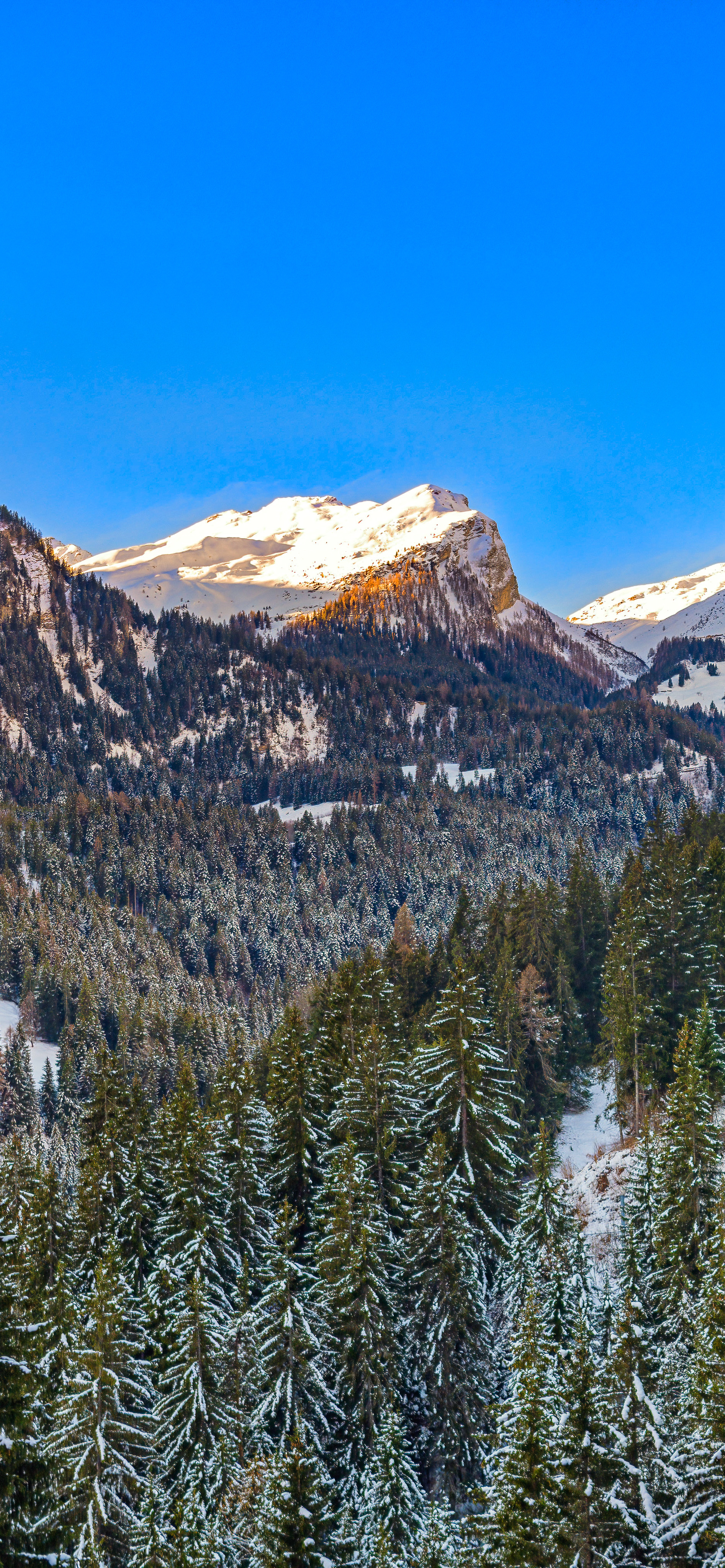 高清蓝天自然风景壁纸,动物自然风景高清壁纸