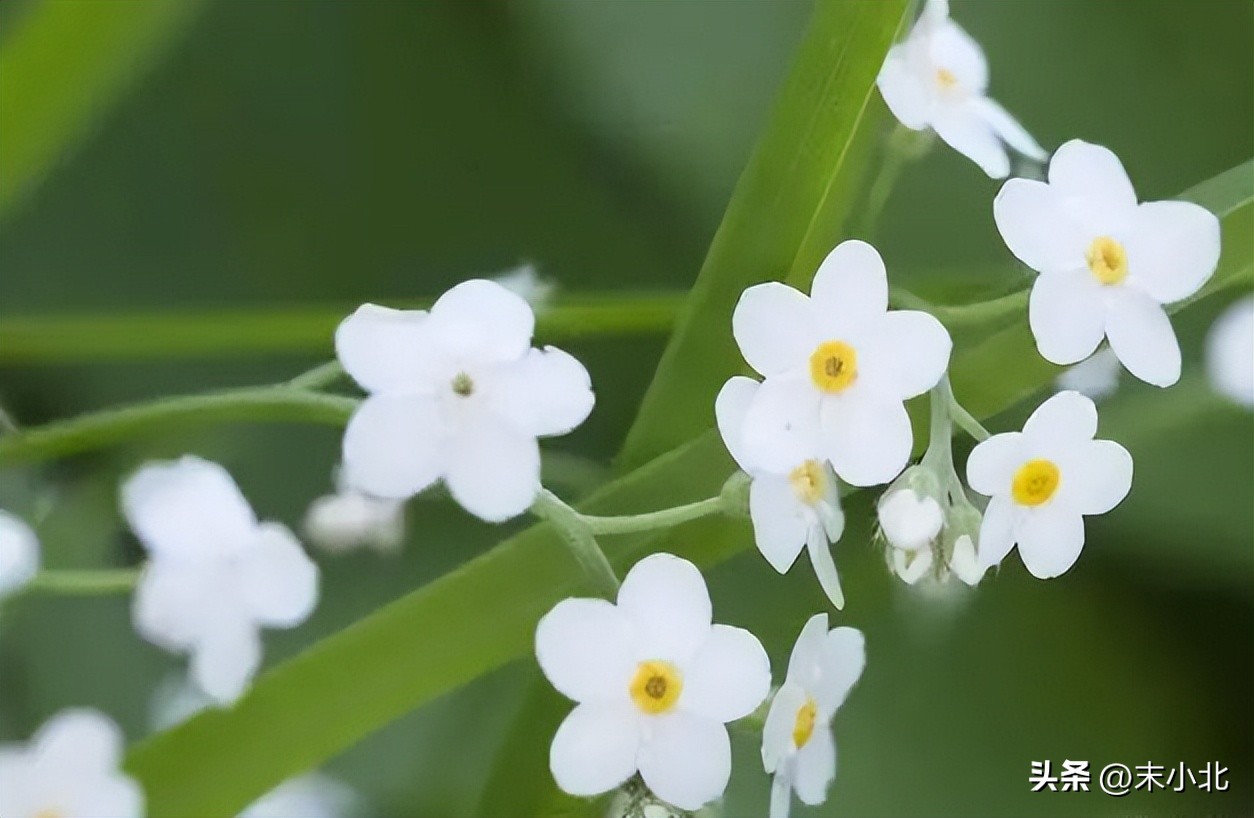孤僻不愿意交流的人,一个人不想跟人说话是什么情况