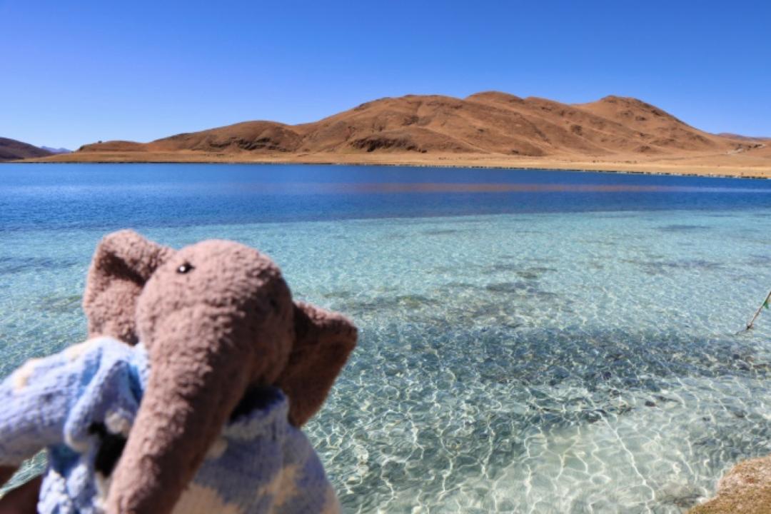 孤独的年轻人，戒不了Jellycat