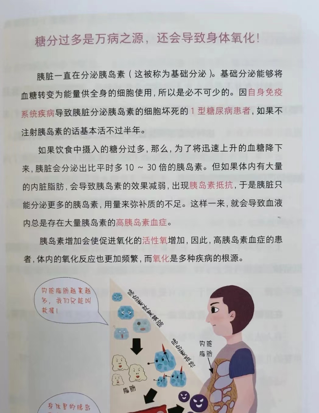 饮食减肥如何控糖,控糖减肥为何只减体重不减脂肪