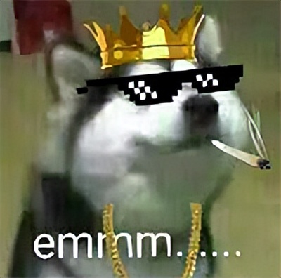 日本人花700万改造成狗,一个男子给狗建造25万的狗窝