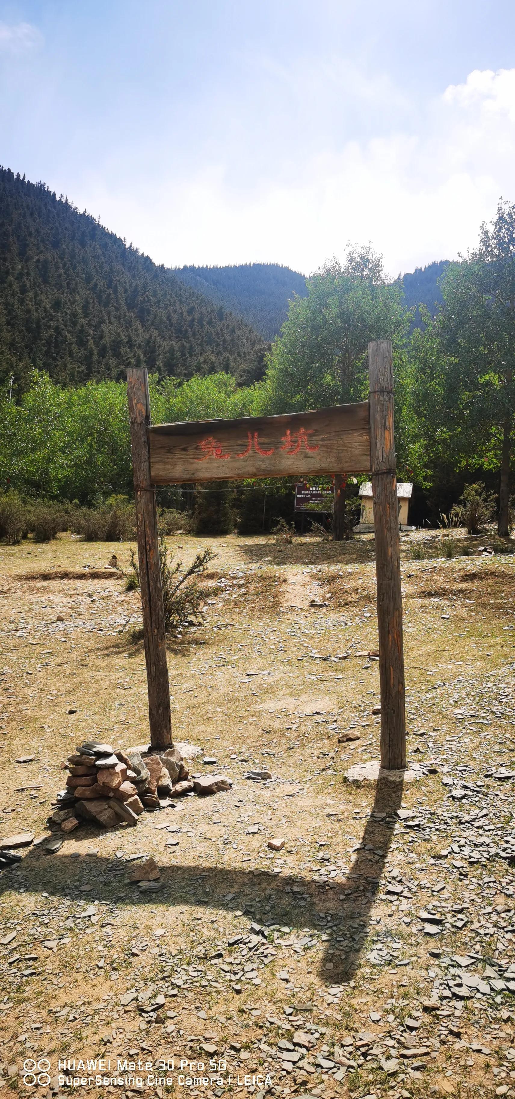 银川我来了视频,宁夏我来了完整视频