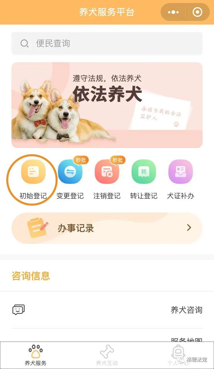 深圳电子犬证怎么办理,深圳在哪里办理养犬登记