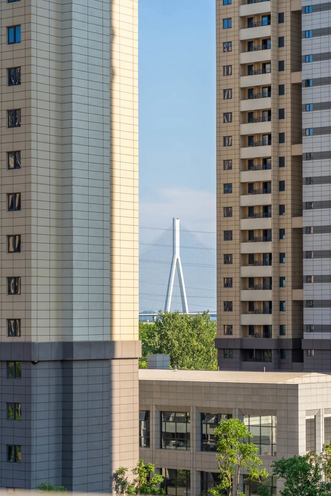 武汉传来好消息,武汉有几条轨道