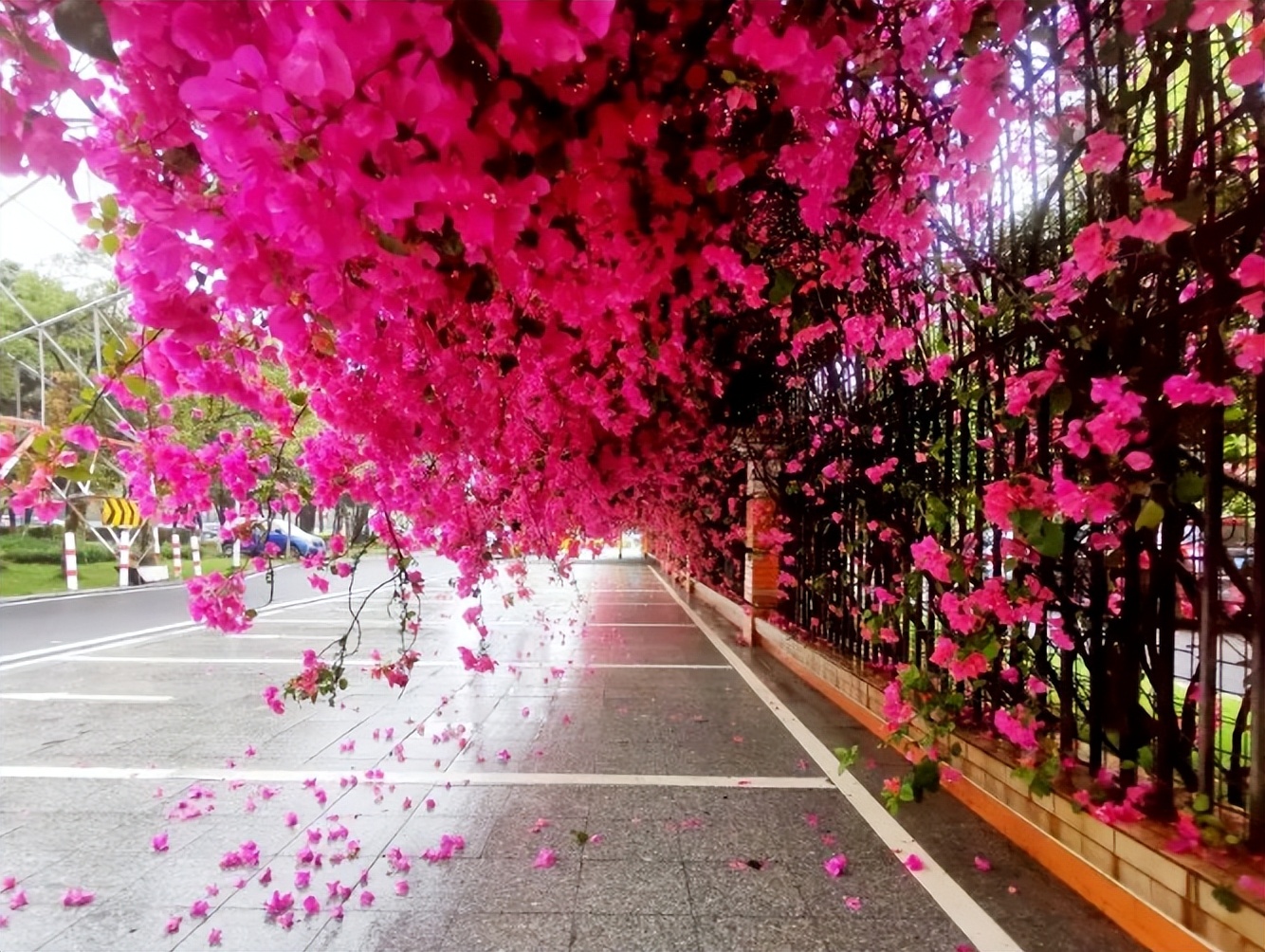 华附南海实验2021高中复读,全力以赴