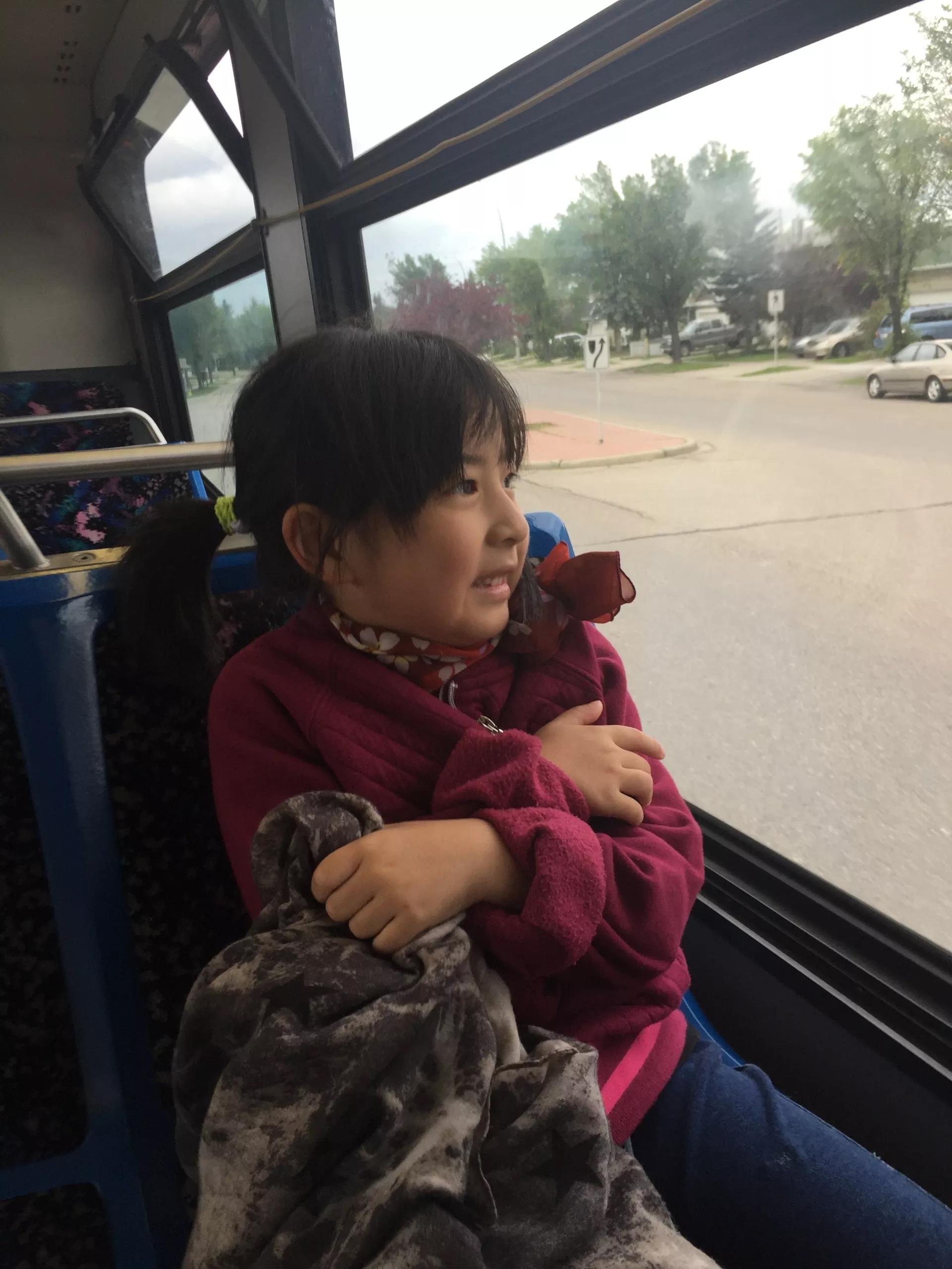 青岛如何带上猫猫去加拿大多伦多,钱猫猫加拿大之旅