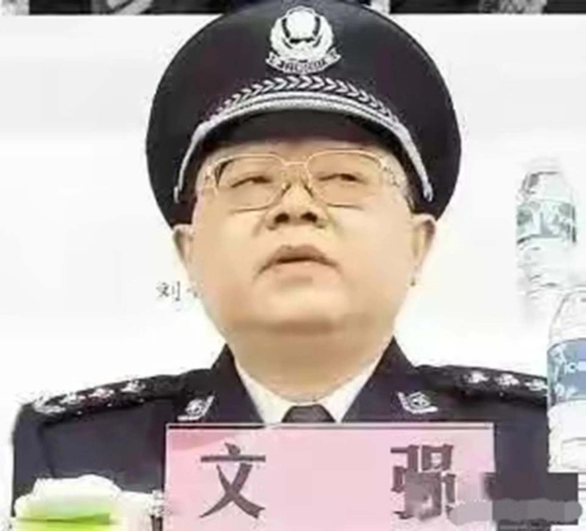 文强打黑风暴完整版,小说打黑局长