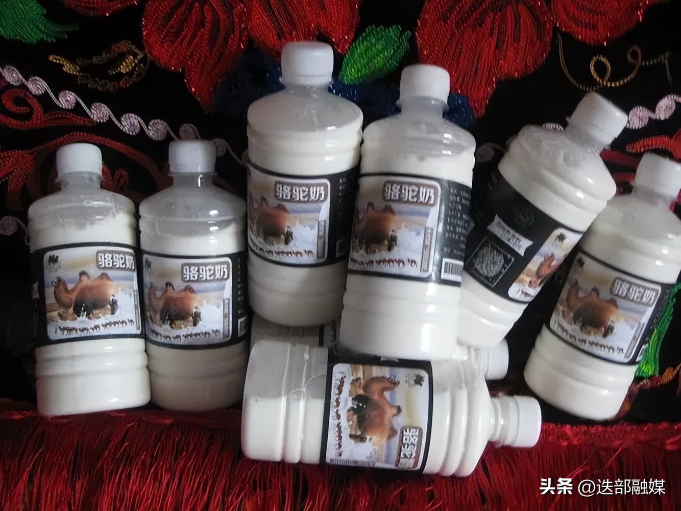 牛奶羊奶骆驼奶哪个营养价值高,牛奶羊奶骆驼奶哪种含乳糖低