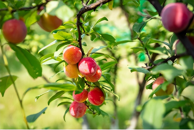 播种希望劳动实践,职业院校劳动教育第一课