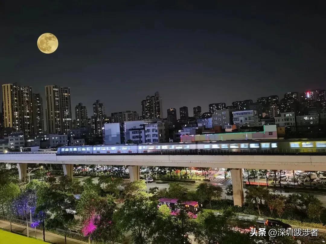 为什么年轻人都去深圳发展,为什么年轻人留在深圳