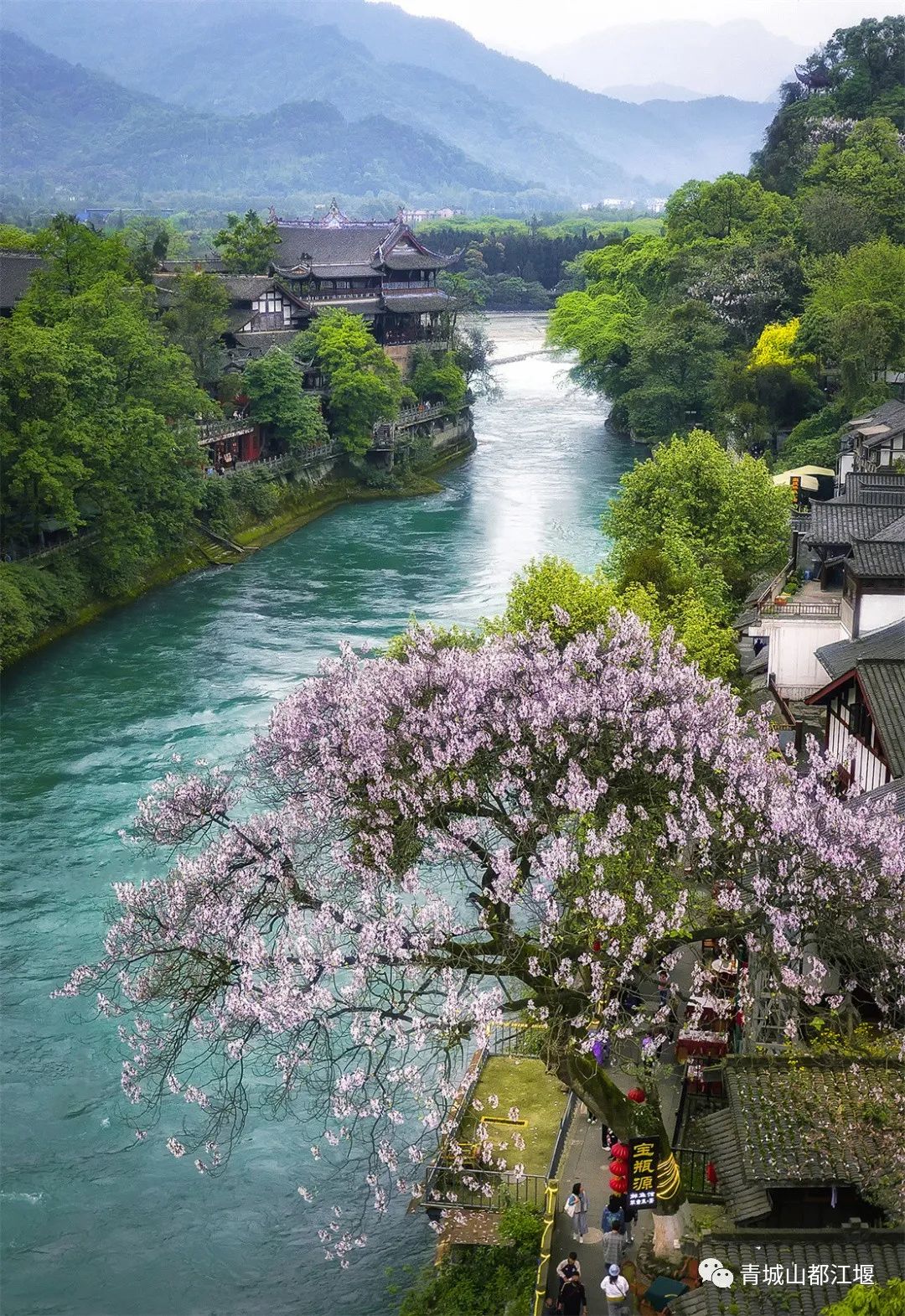 他们来了！6月9日东方甄选走进都江堰！