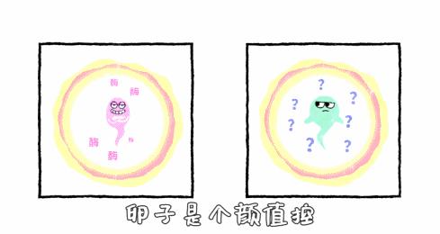 这片戳中5000万中国人的“隐痛”，仅出6集，太真实了，看完扎心