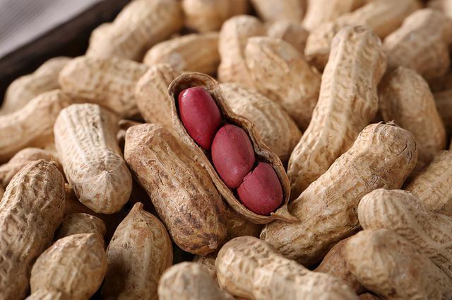 夏季养好胃才能远离胃病,秋冬高发胃病怎么护胃