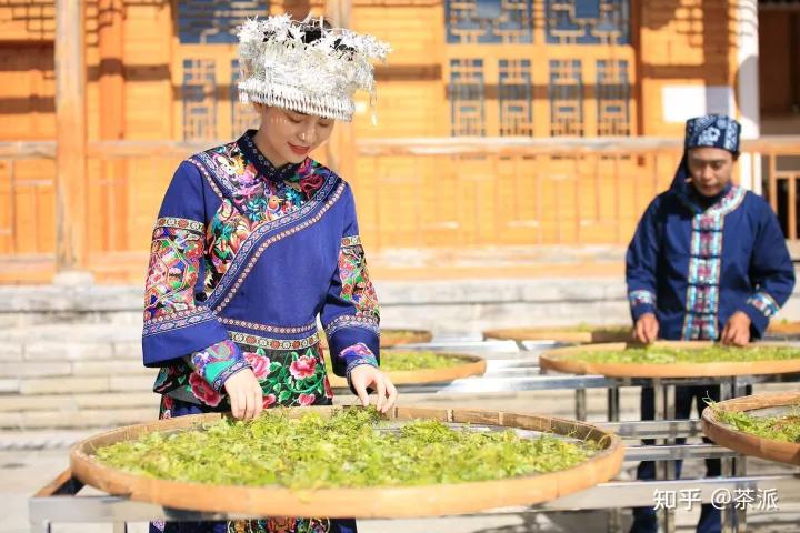 正宗恩施来凤藤茶与张家界藤茶,藤茶大揭秘喝藤茶有什么好处