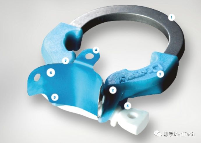 百岁后结为连理的牙科巨头