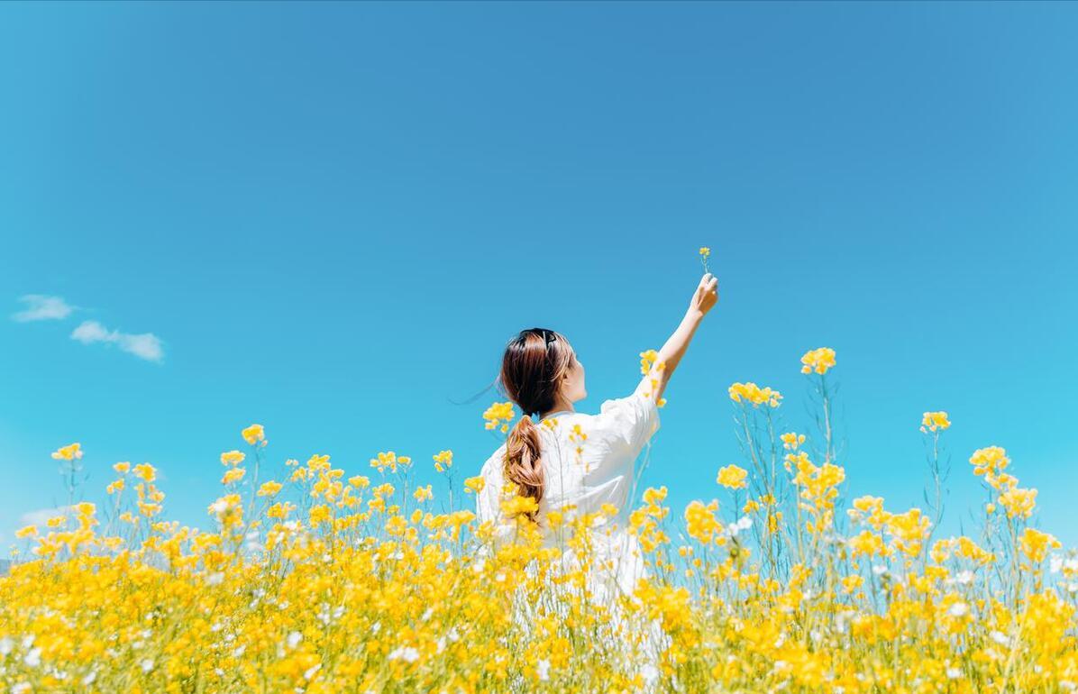 放飞梦想自由成长800字作文,放飞梦想自由翱翔的句子