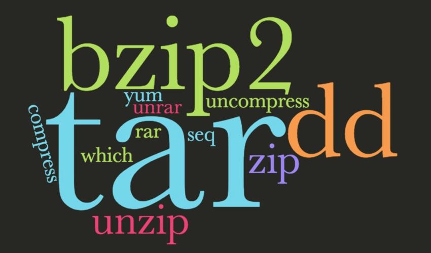 linux鐭ヨ瘑骞茶揣,鐪嬪畬杩欑瘒浣犱竴瀹氳兘鎺屾彙linux