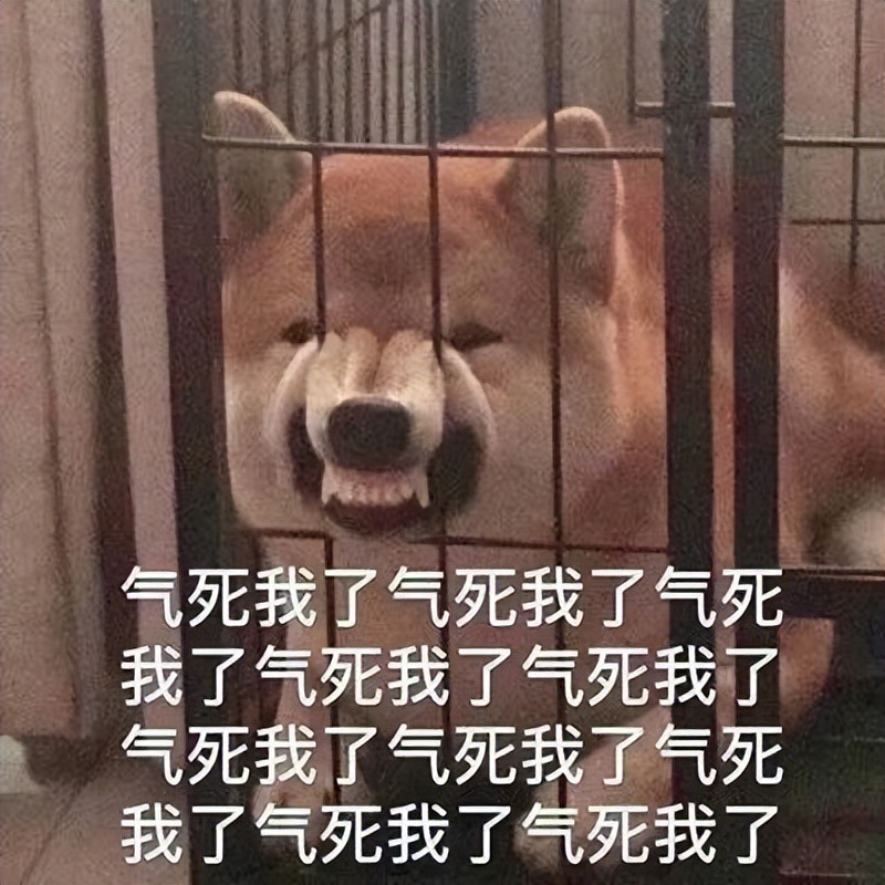 广西梧州放假通知小学,梧州2021年秋季学期放假