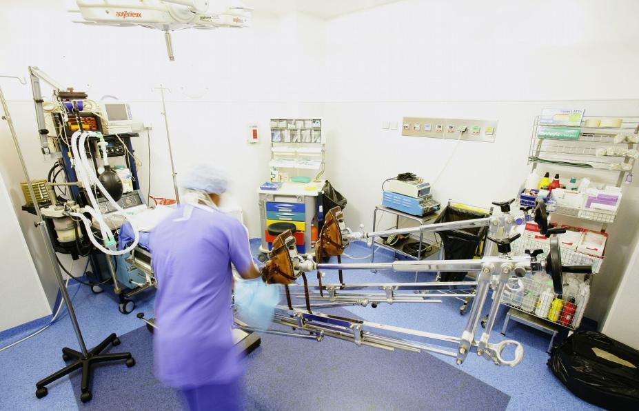 确定全麻手术后马匹心律失常的患病率和性质，评估心律失常的风险