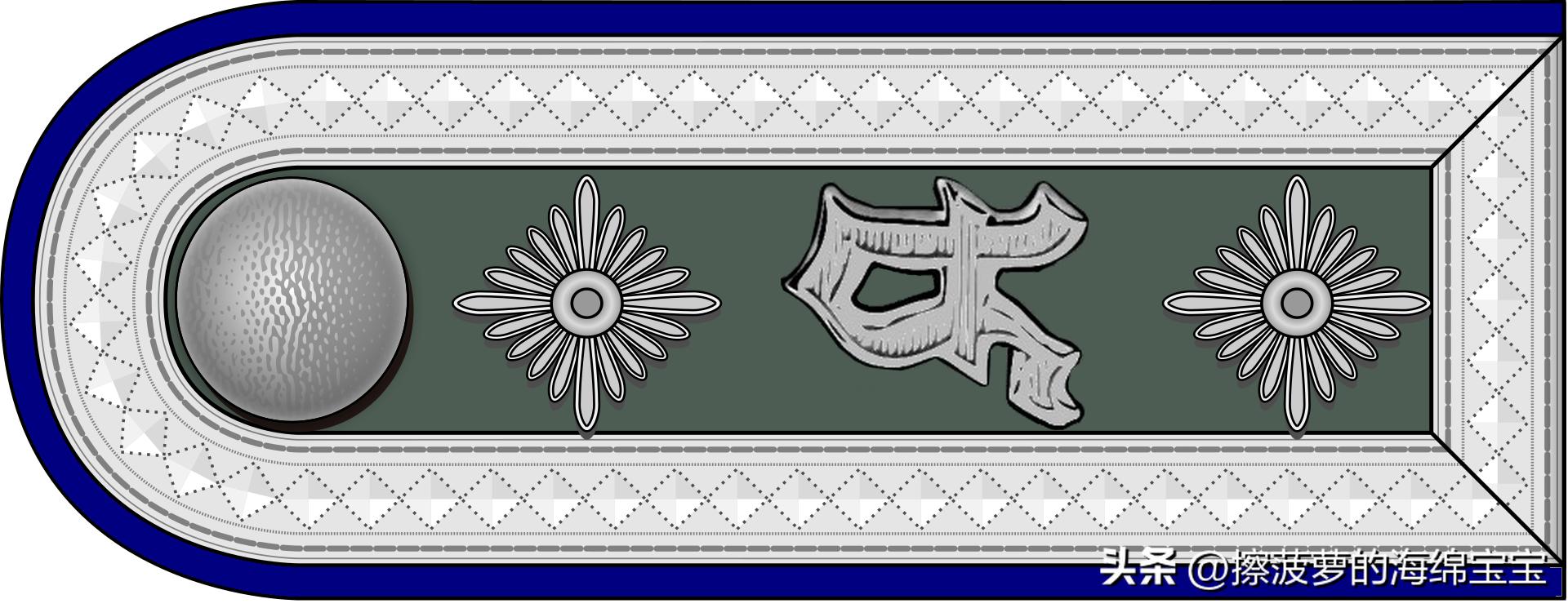 二战德国国防军医疗兵军衔标志