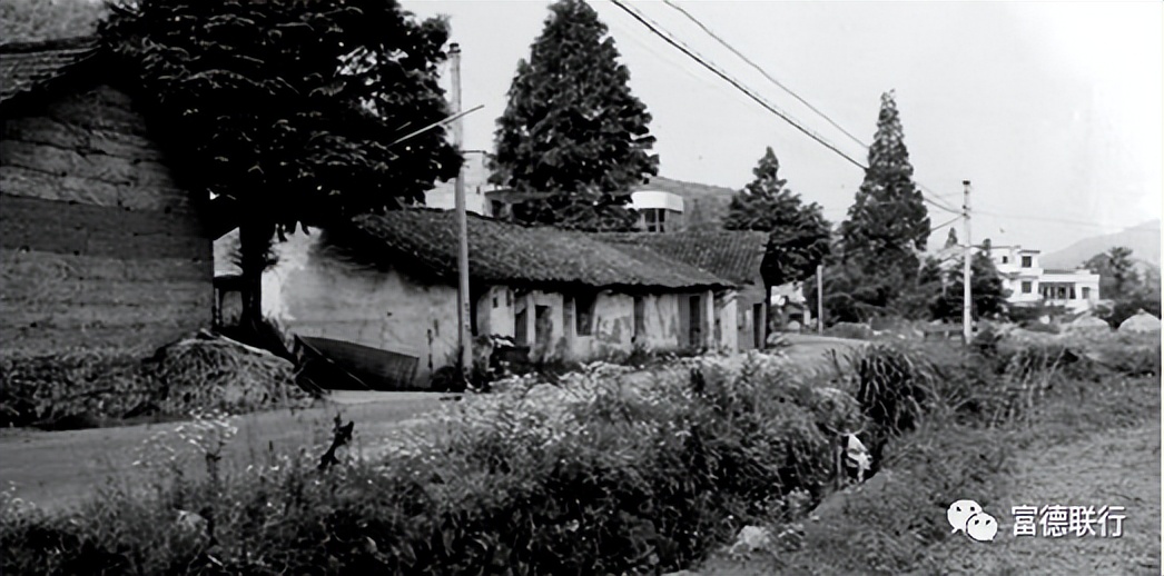 乡村振兴优化乡村发展布局,优化人居环境乡村振兴