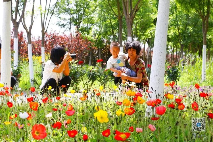 爱上赤峰的十二个理由,爱上镇江100个理由