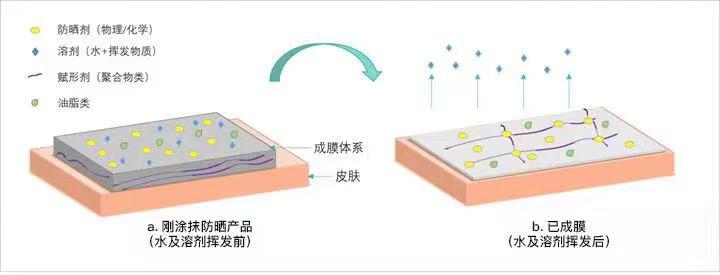 超实用的防晒,最好用的防黑防晒